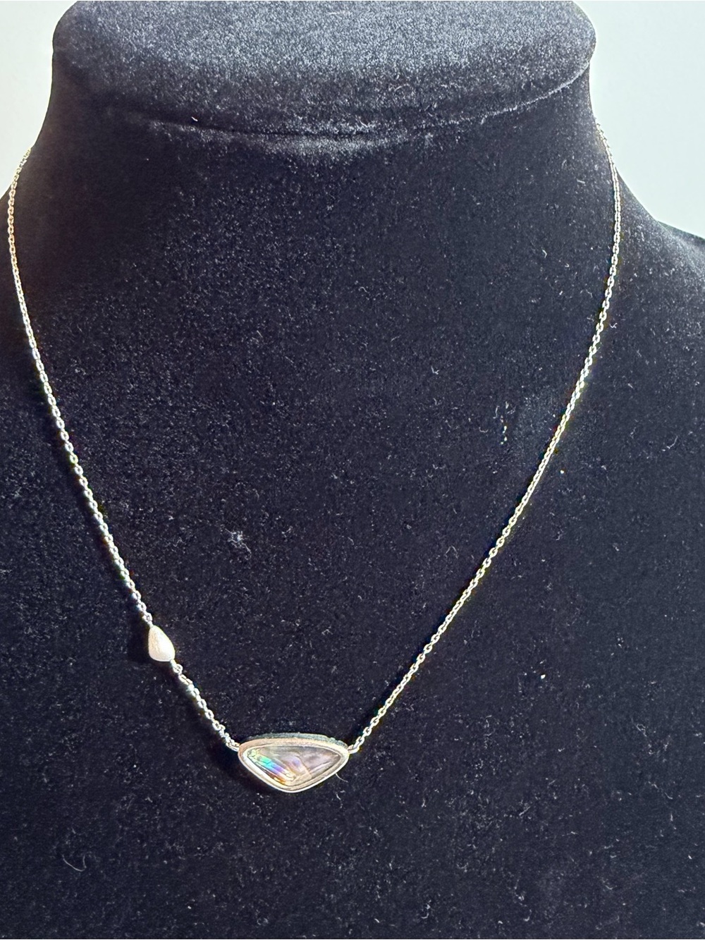 Kendra Scott Silver Abalone Teardrop Pendant Necklace - Women Jewelry